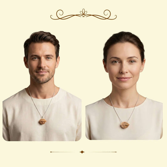 2 Mukhi Rudraksha Bracelet - Adjustable Unisex Spiritual Beads