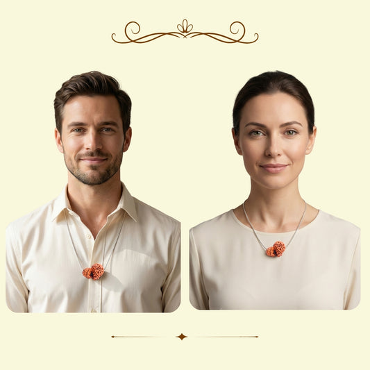 Garbh Gauri Rudraksha