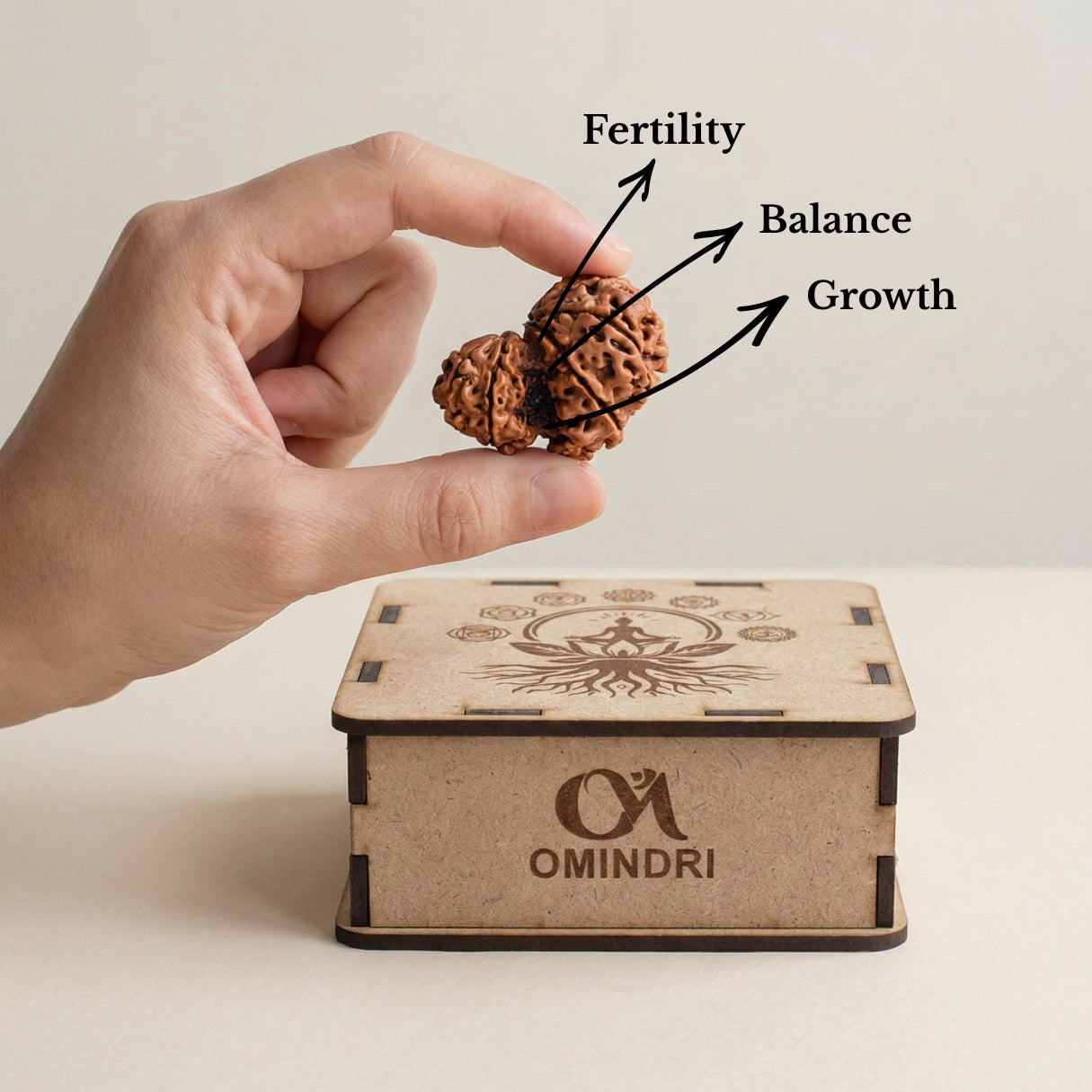 Garbh Gauri Rudraksha