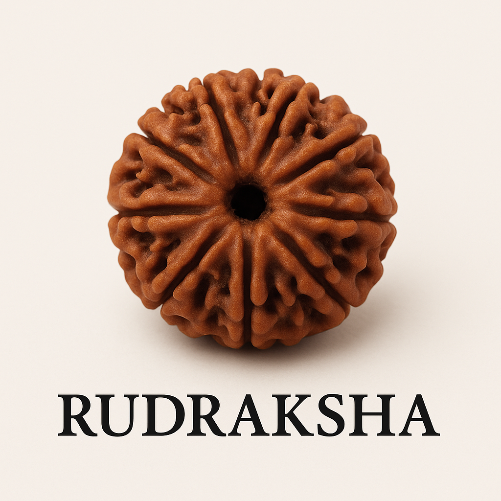 Rudraksha