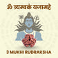 3 Mukhi Rudraksha