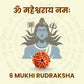 6 Mukhi Rudraksha