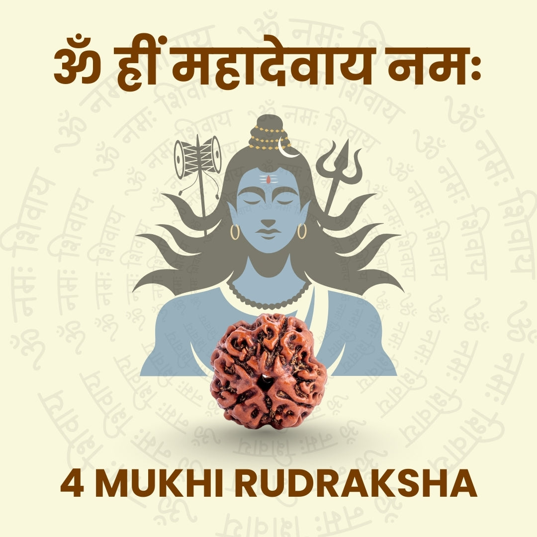 4 Mukhi Rudraksha