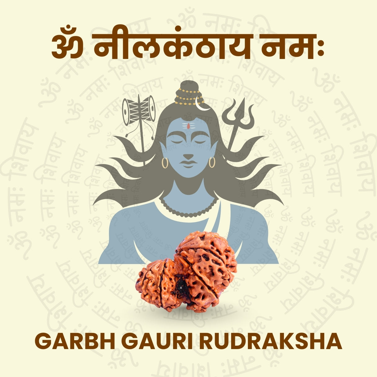 Garbh Gauri Rudraksha