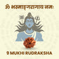 9 Mukhi Rudraksha