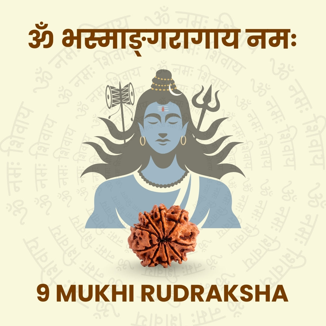 9 Mukhi Rudraksha