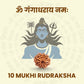 10 Mukhi Rudraksha