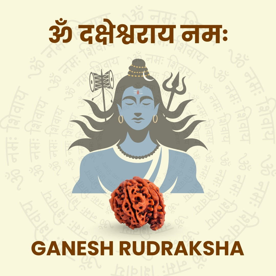 Ganesh Rudraksha