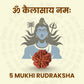 5 Face Rudraksha