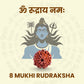 8 Mukhi Rudraksha