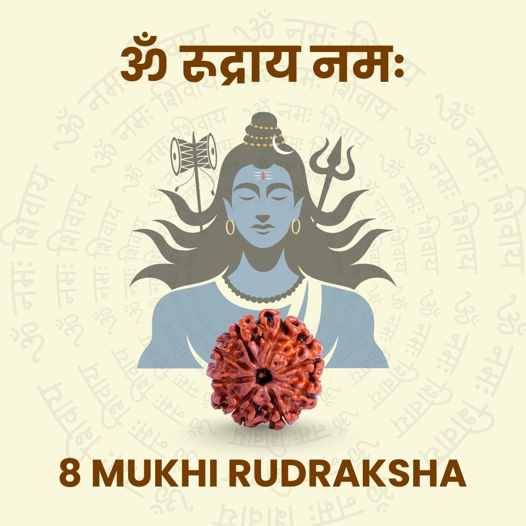 8 Mukhi Rudraksha
