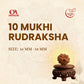 10 Mukhi Rudraksha