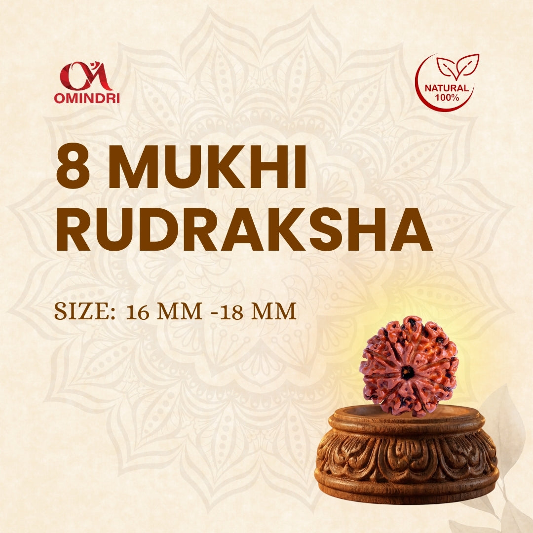 8 Mukhi Rudraksha