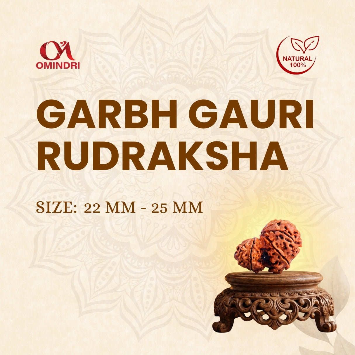 Garbh Gauri Rudraksha