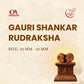 Gauri Shankar Rudraksha