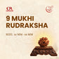 9 Mukhi Rudraksha