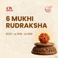 6 Mukhi Rudraksha