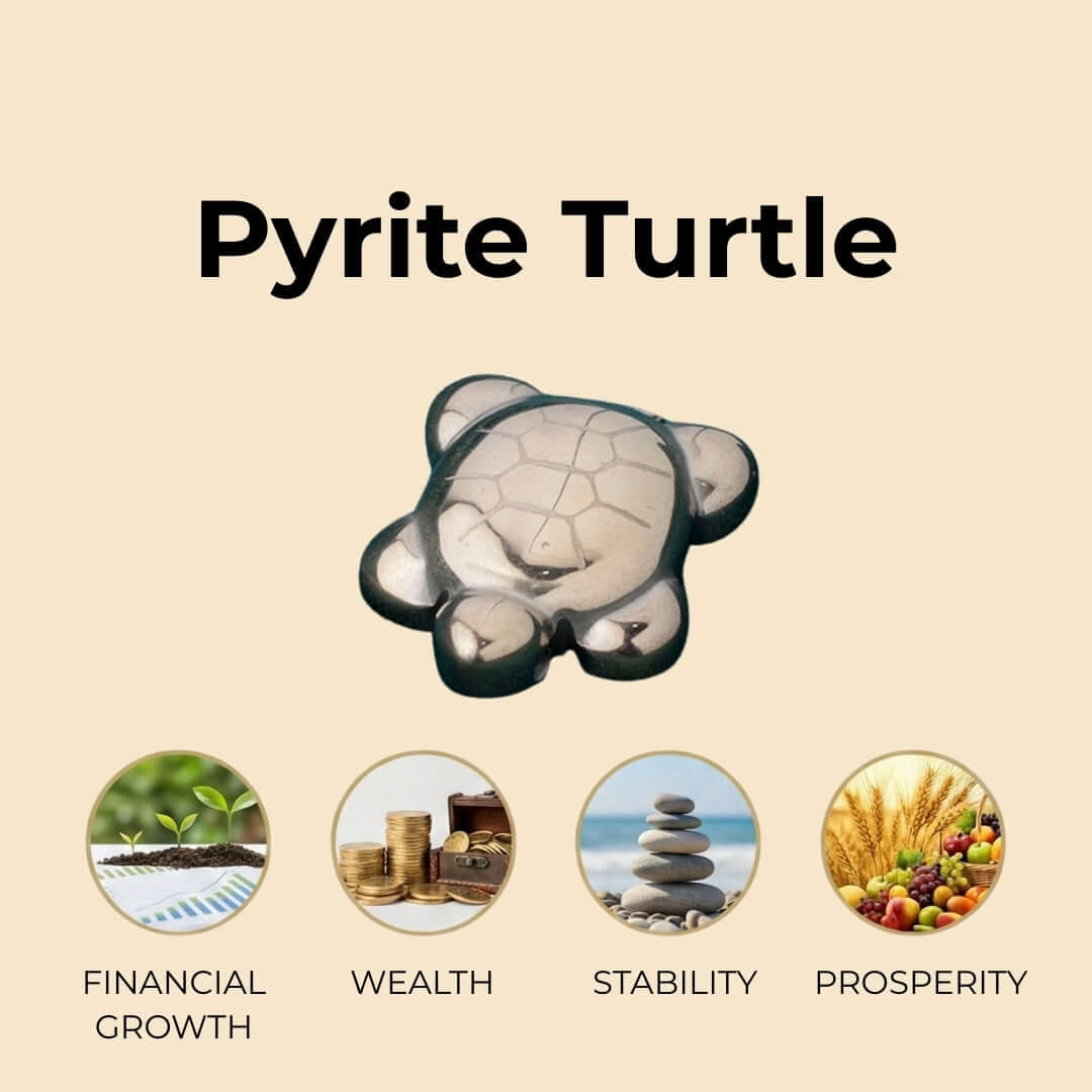 Pyrite Turtle