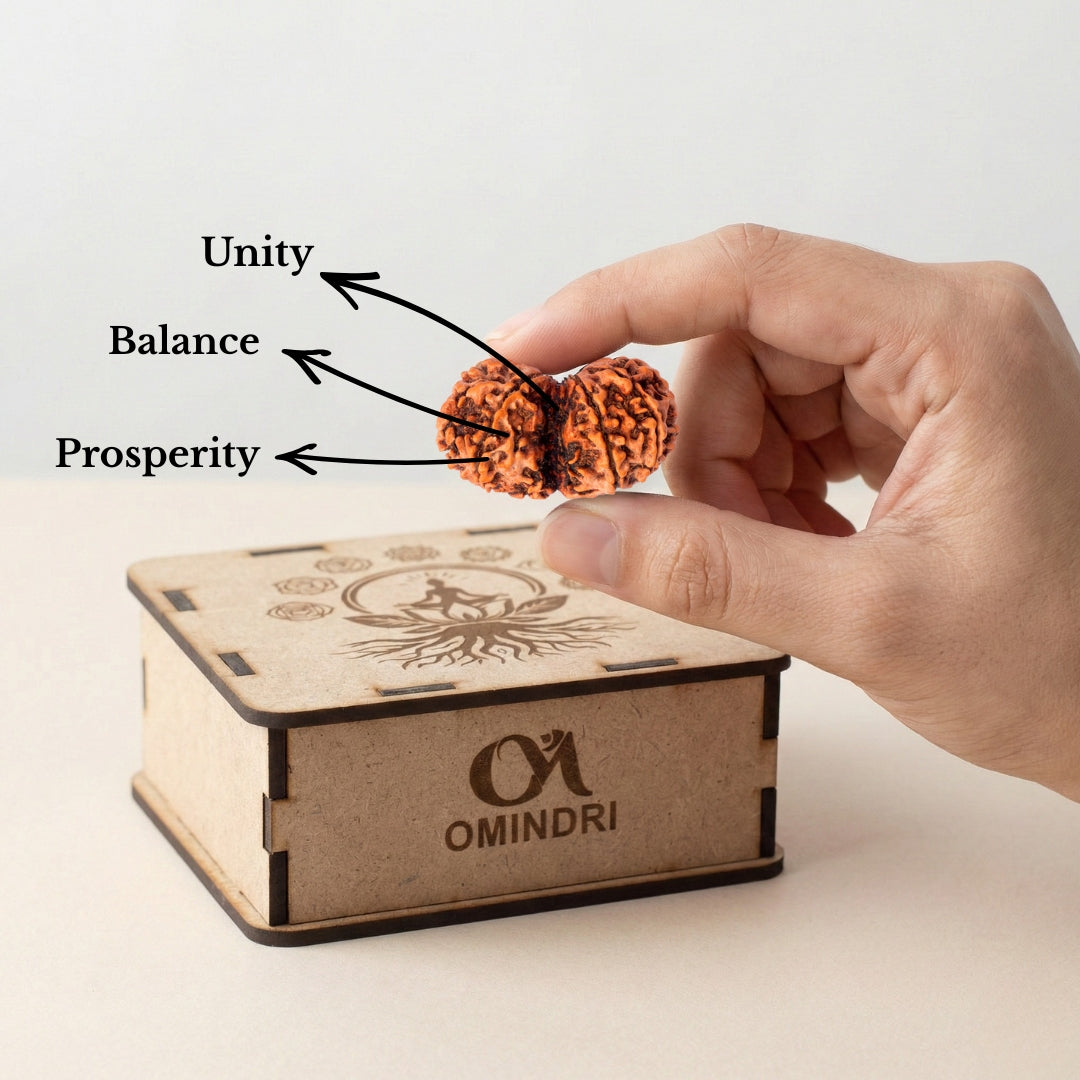 Gauri Shankar Rudraksha