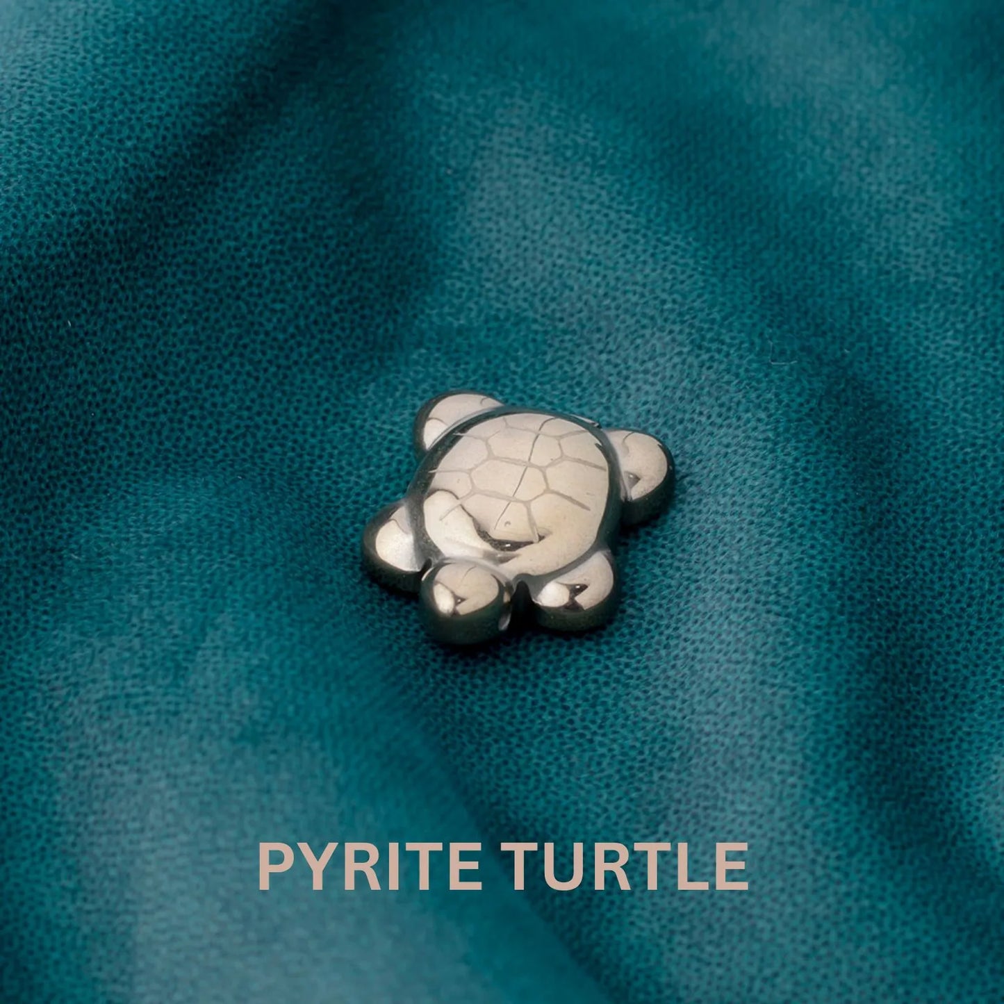 Pyrite Turtle