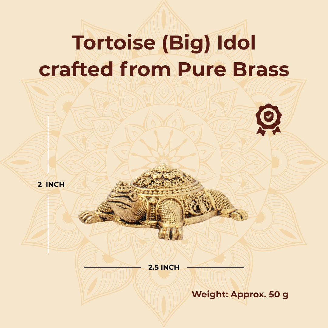 Brass Tortoise (Big)