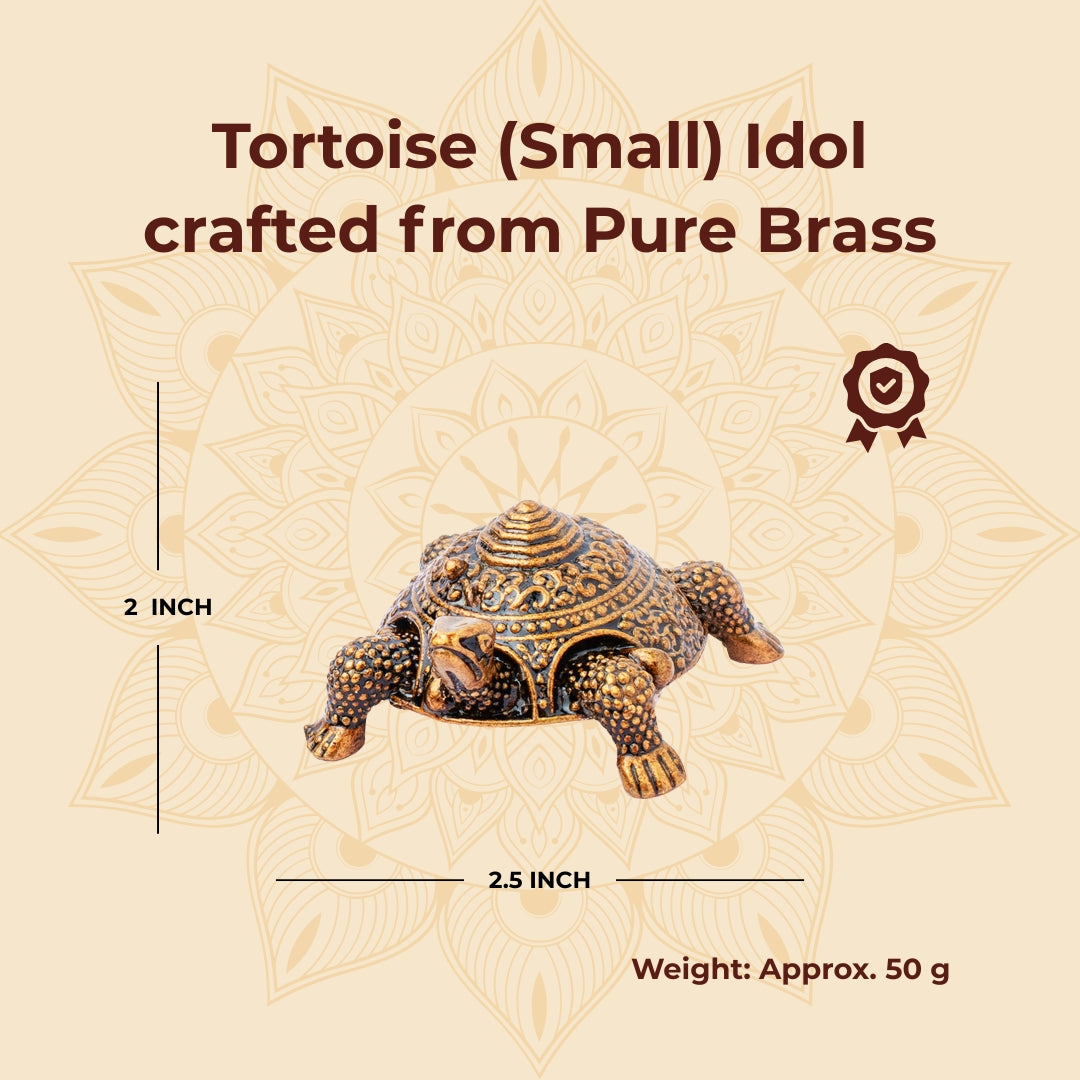 Brass Tortoise (Small)