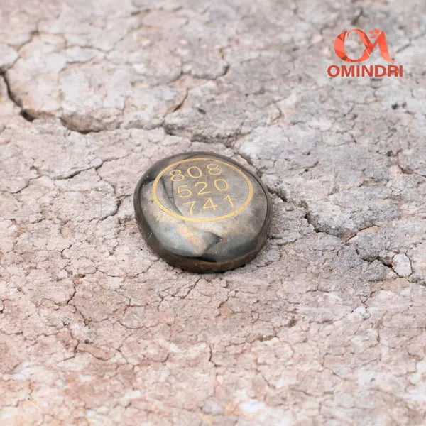 Zibu Pyrite Coin Manifest