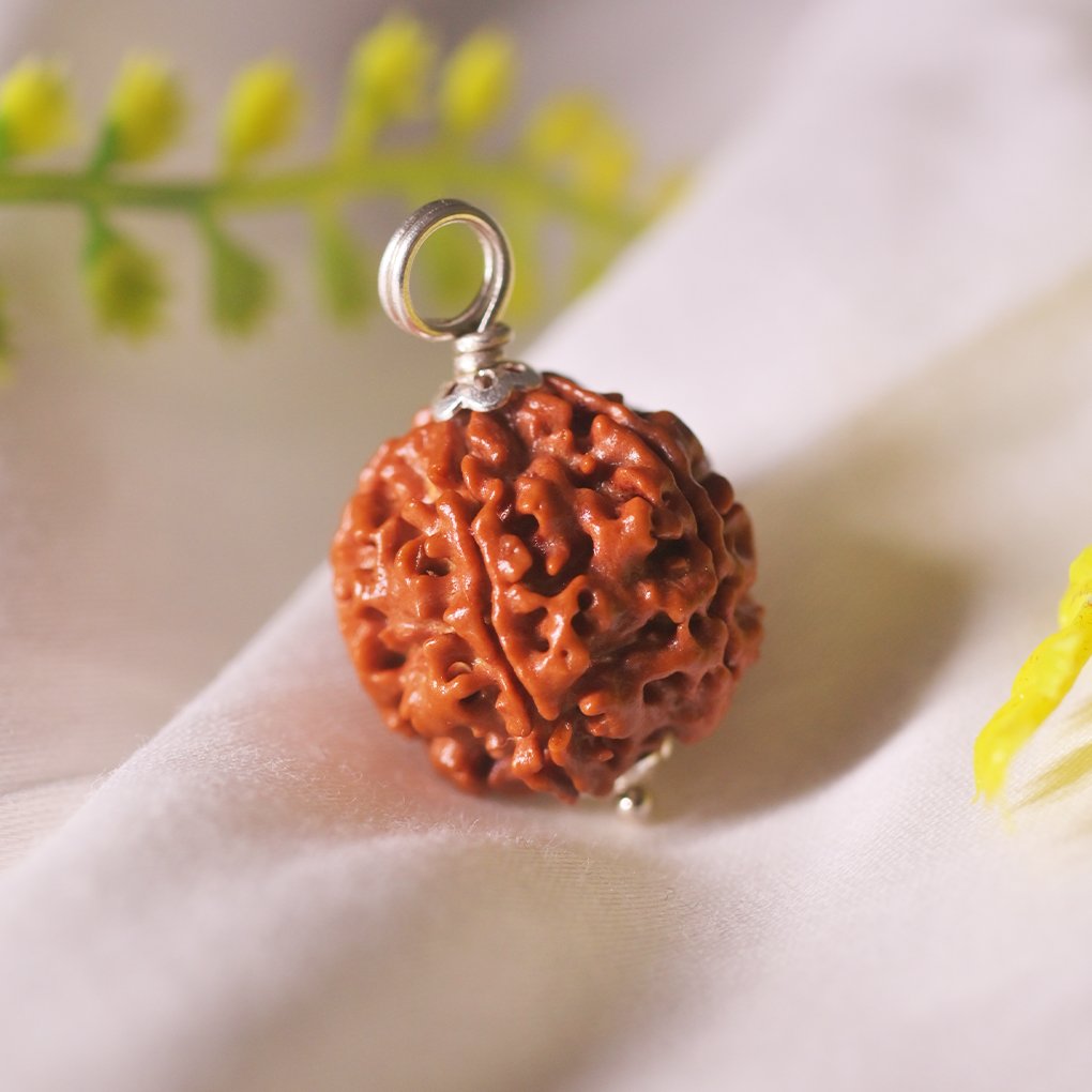 Rudraksha